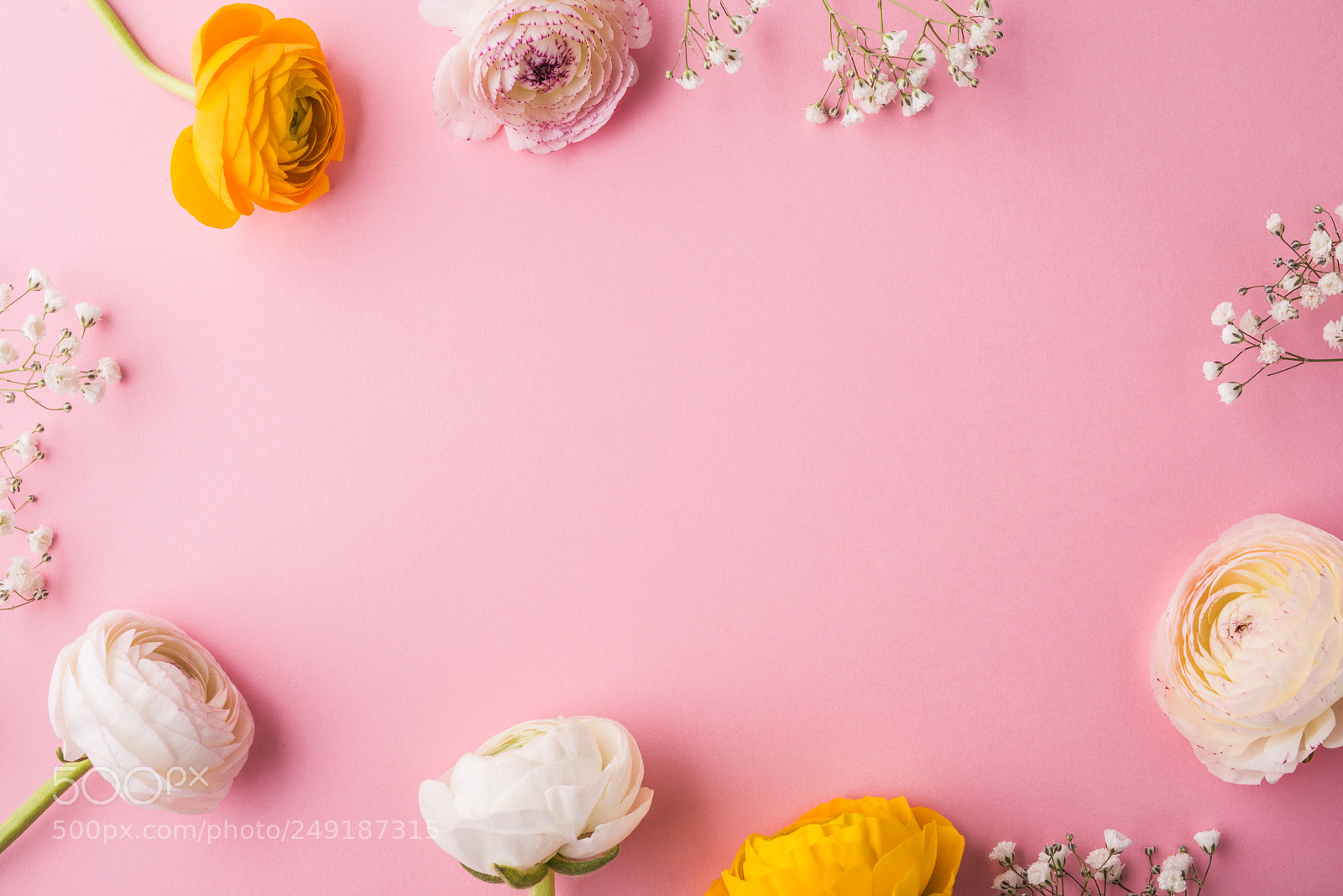 Nikon D800 sample photo. Easter and spring flat photography
