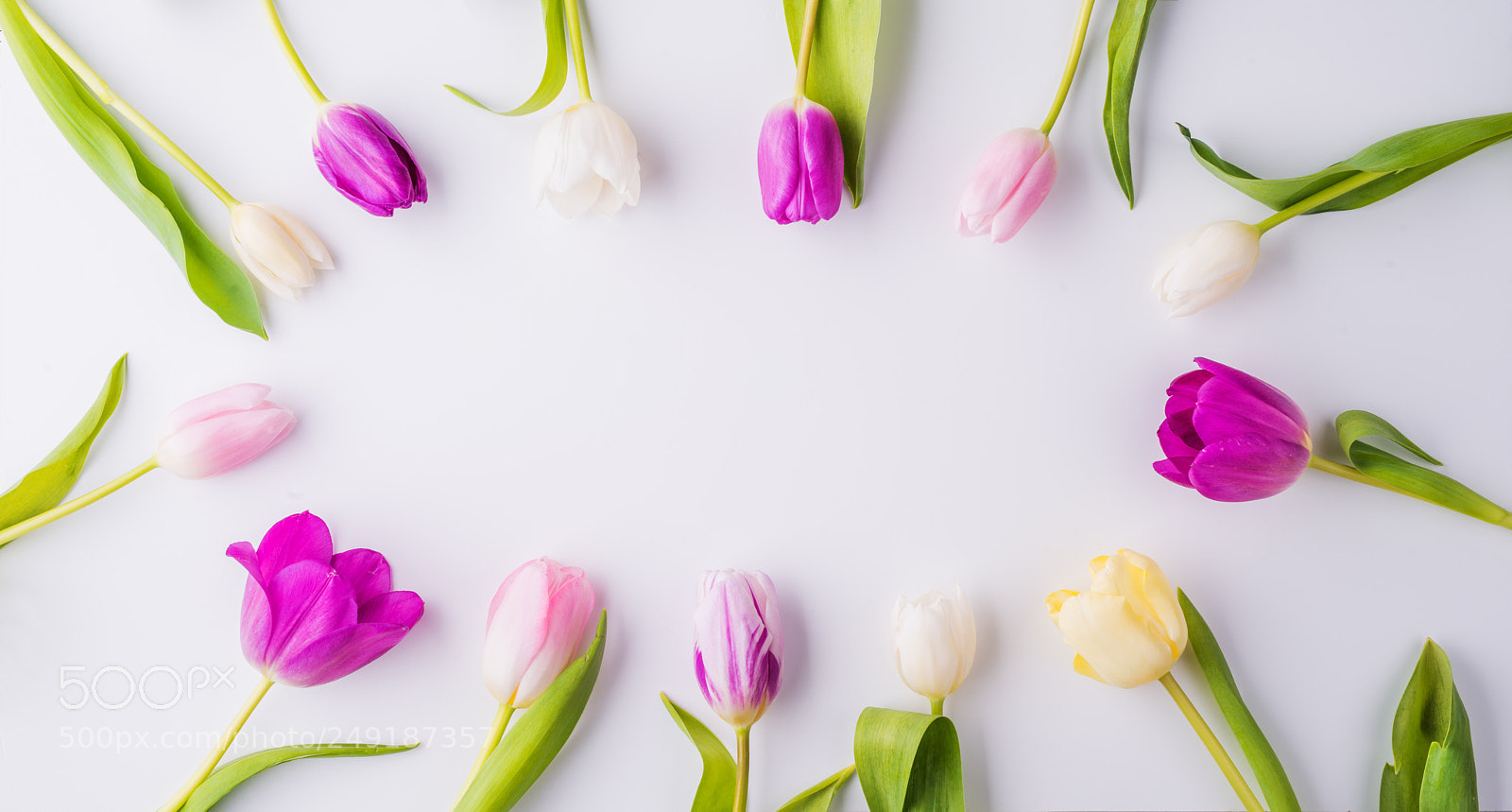 Nikon D800 sample photo. Easter and spring flat photography