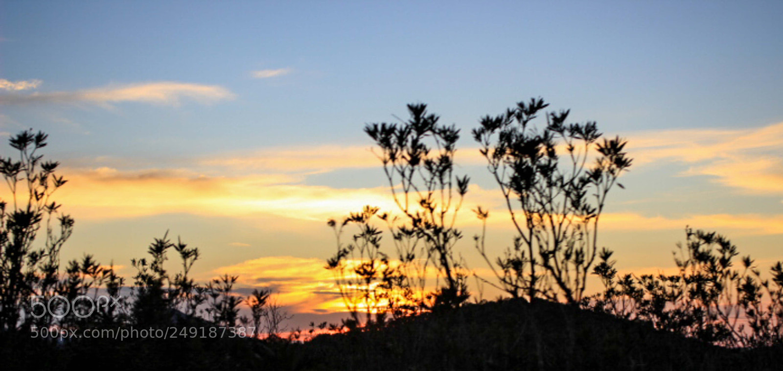 Canon EOS 600D (Rebel EOS T3i / EOS Kiss X5) sample photo. Sunset photography