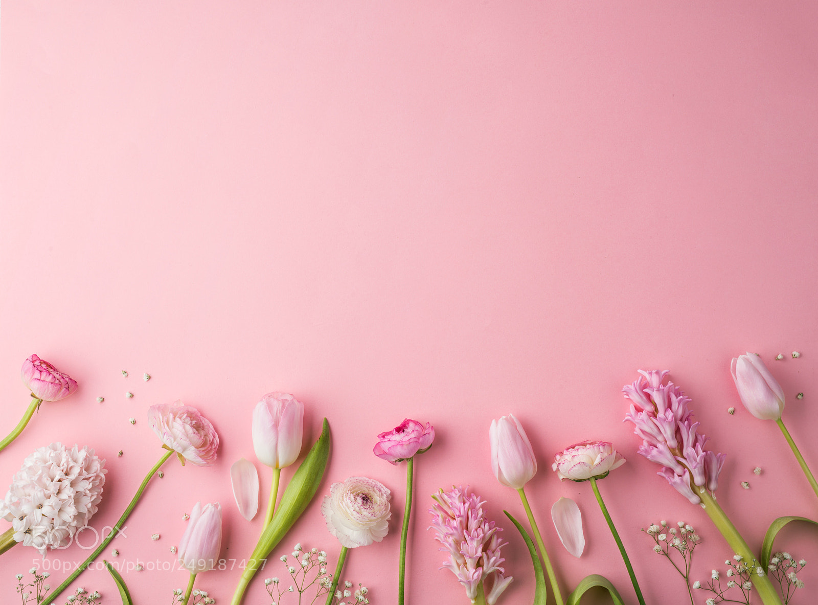 Nikon D800 sample photo. Easter and spring flat photography