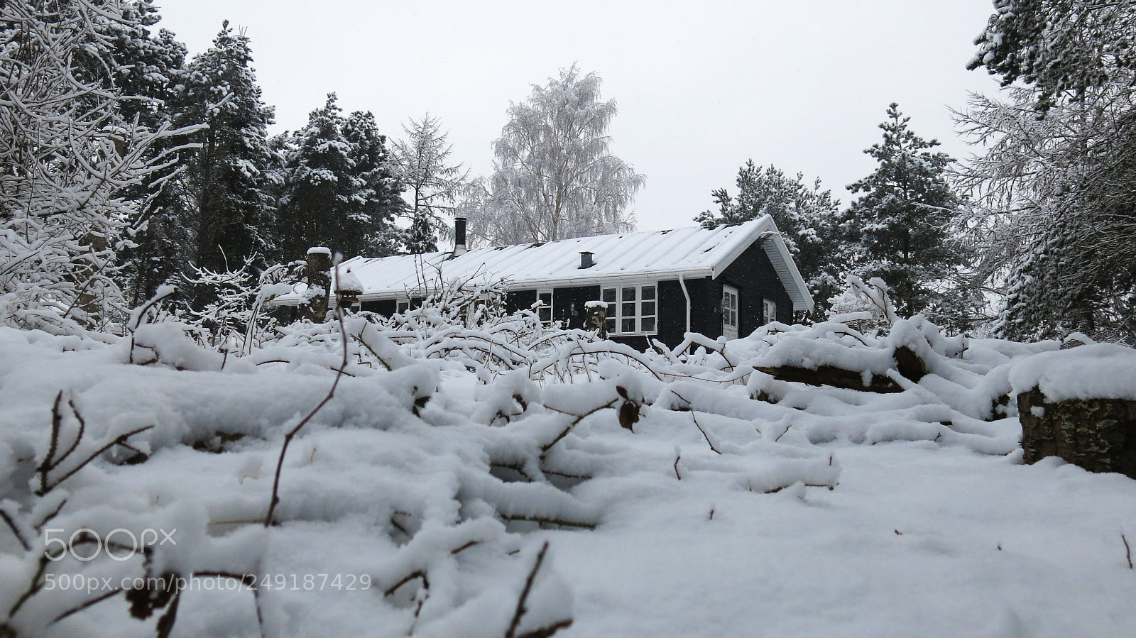 Canon PowerShot G15 sample photo. My cabin and home ❤️ photography