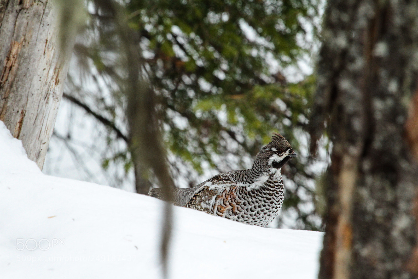 Canon EOS 7D sample photo. Walk around photography