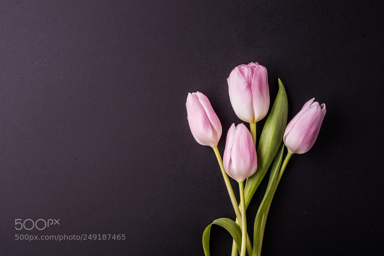 Nikon D800 sample photo. Easter and spring flat photography