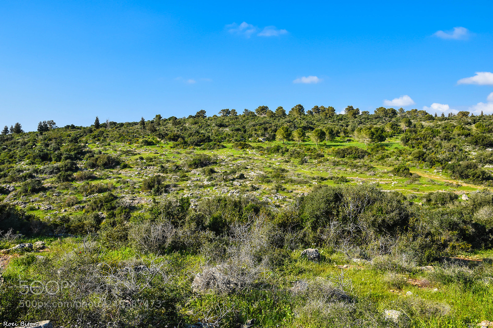 Nikon D5500 sample photo. Rocky way photography