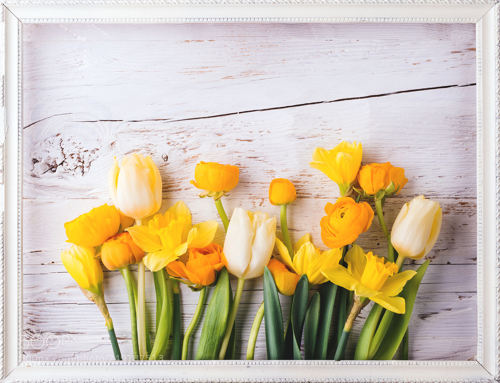 Nikon D800 sample photo. Easter and spring flat photography