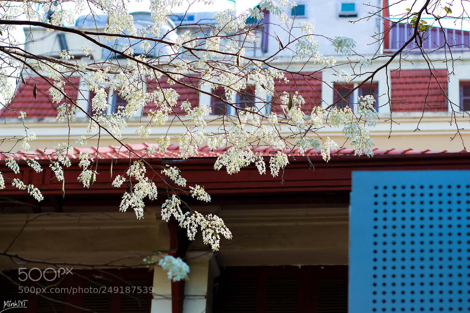 Canon EOS 700D (EOS Rebel T5i / EOS Kiss X7i) sample photo. Img photography