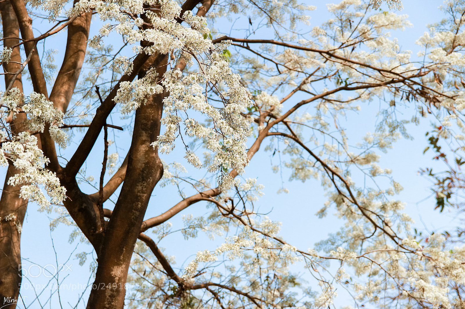 Canon EOS 700D (EOS Rebel T5i / EOS Kiss X7i) sample photo. Img photography