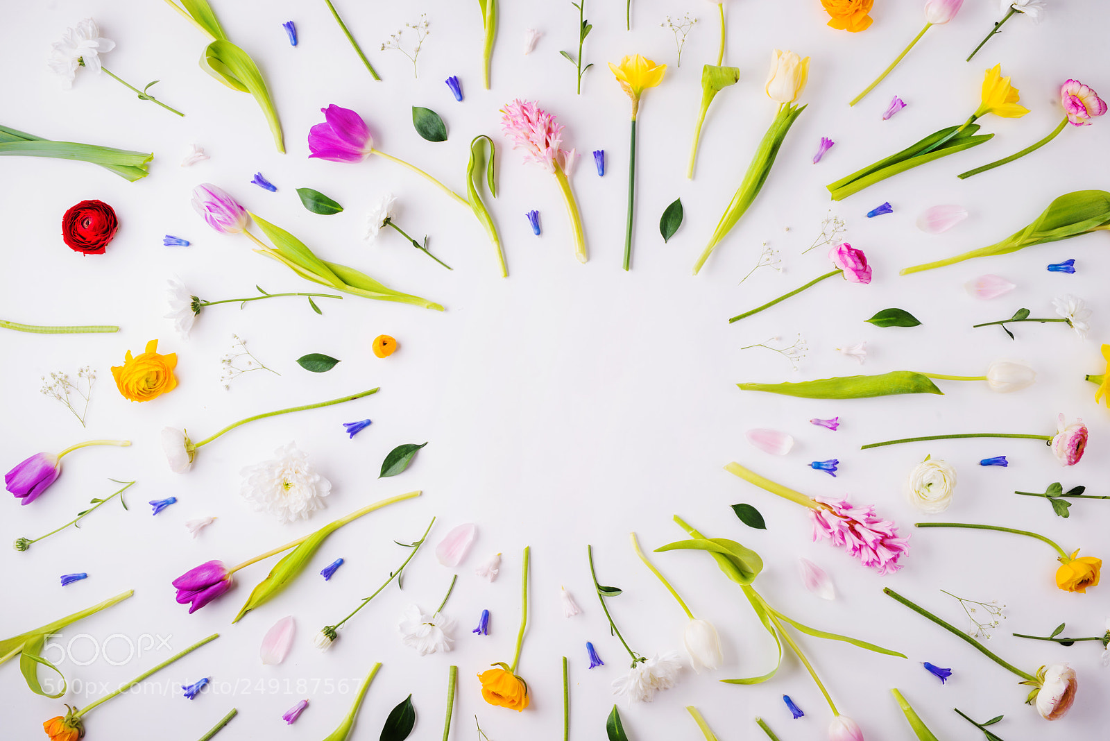Nikon D800 sample photo. Easter and spring flat photography