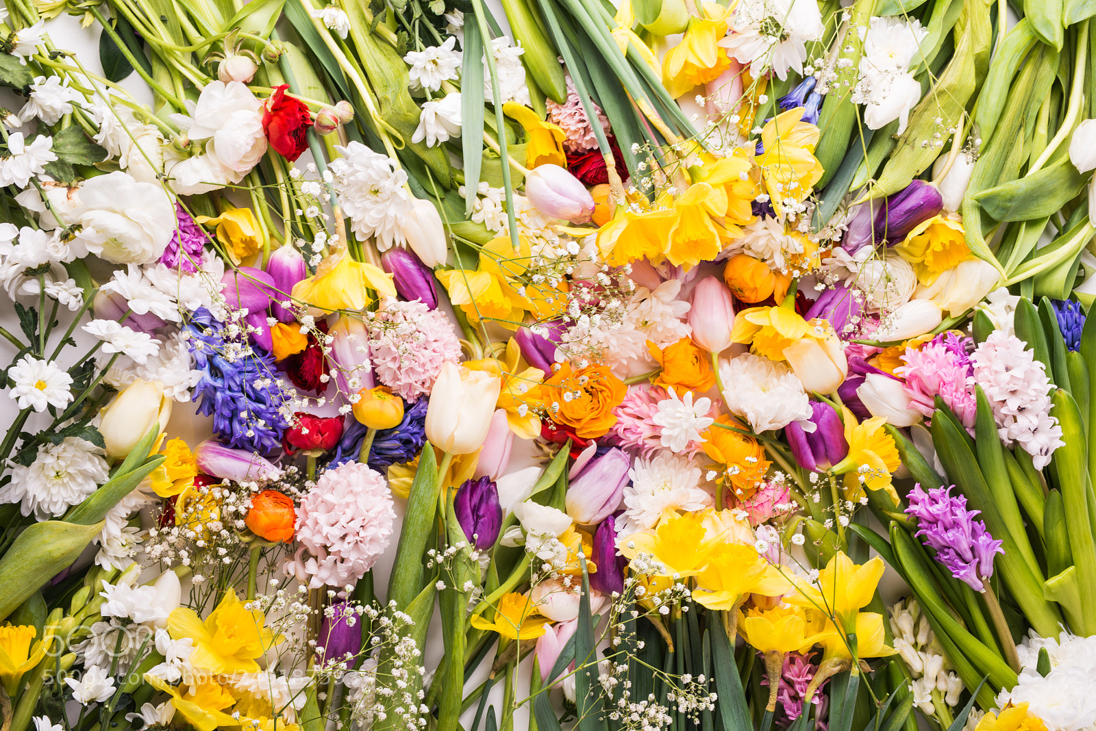 Nikon D800 sample photo. Easter and spring flat photography