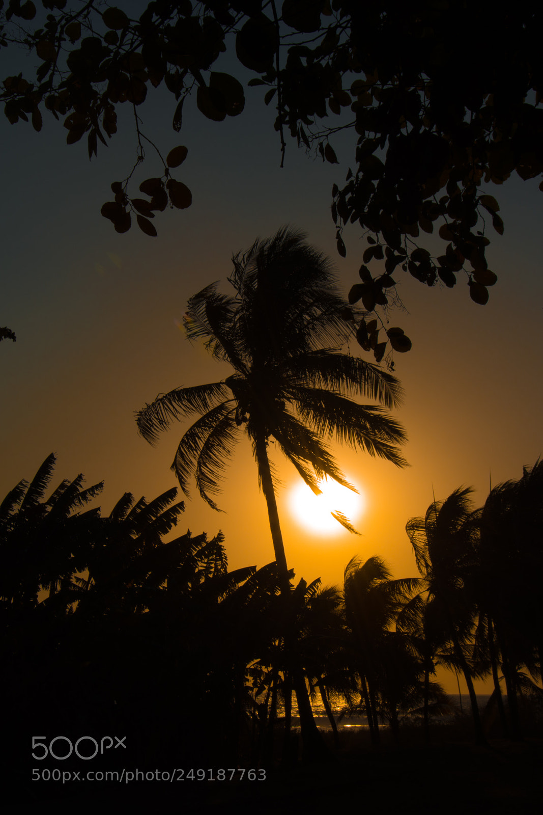 Nikon D7100 sample photo. Just arrived to nicaragua photography