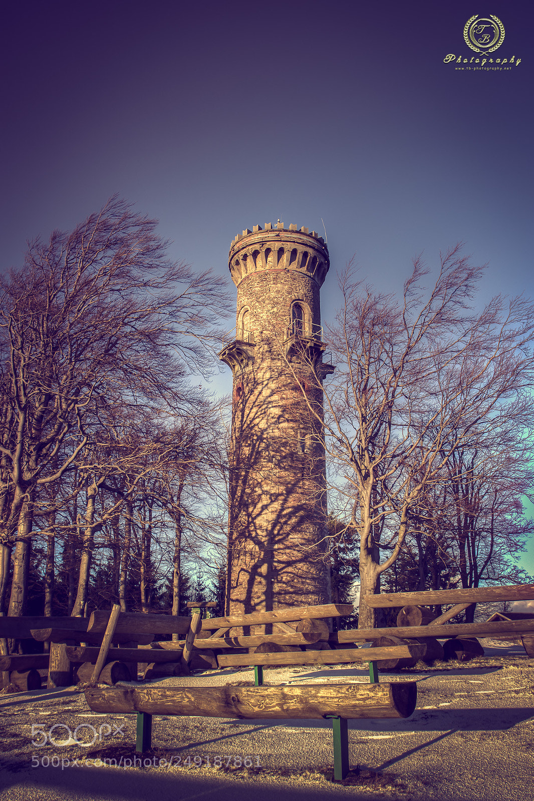 Nikon D7200 sample photo. Kickelhahn im winter photography