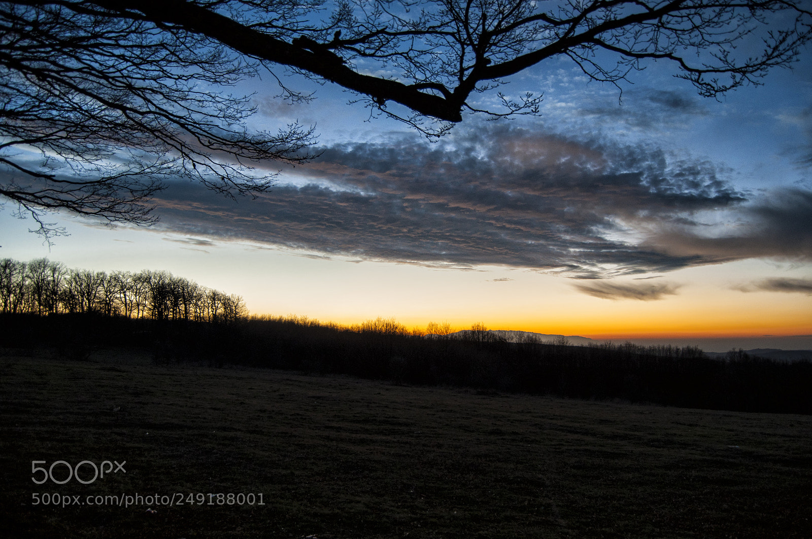 Nikon D90 sample photo. Untitled photography