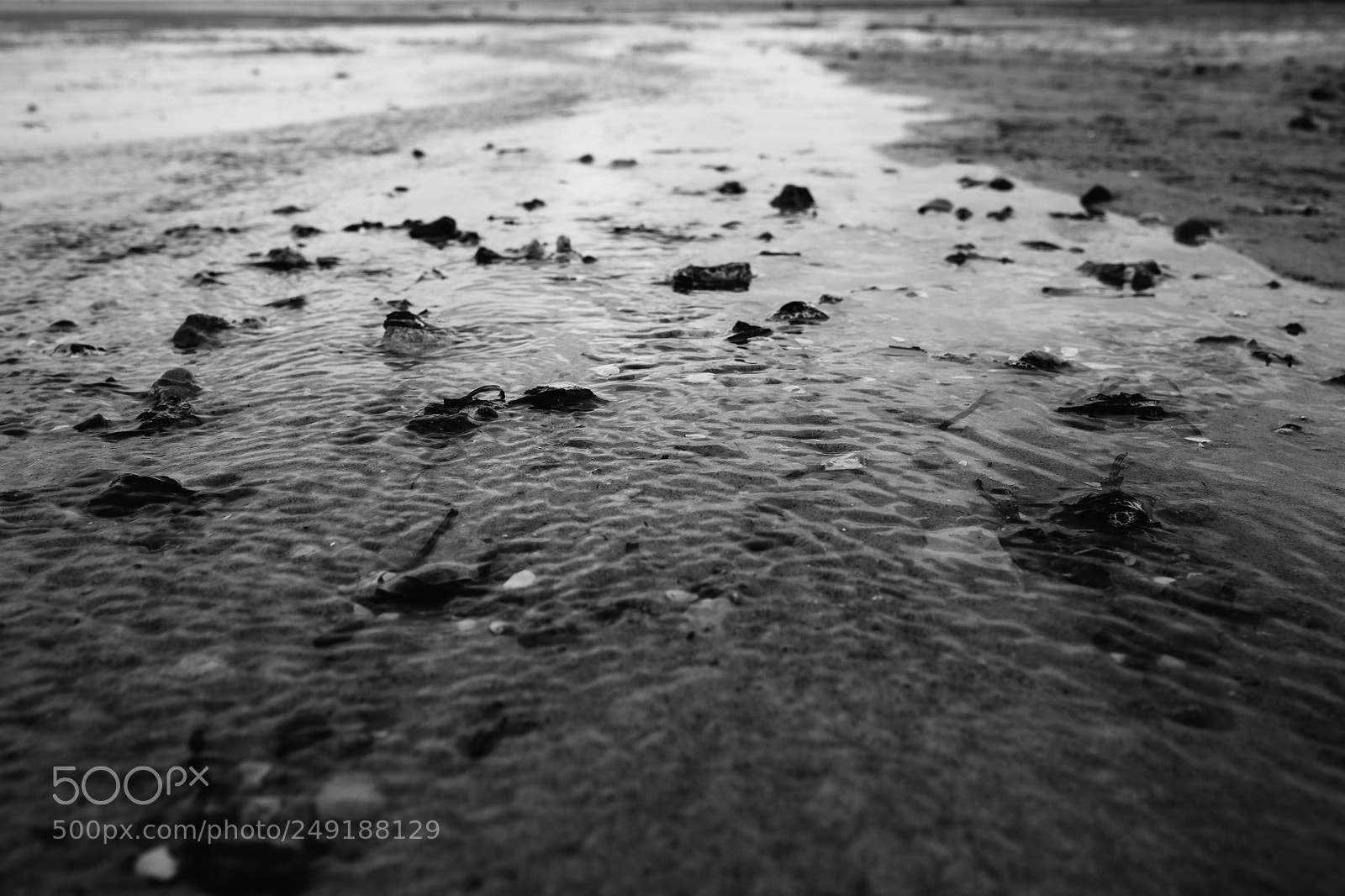 Fujifilm X-T1 sample photo. Flow photography