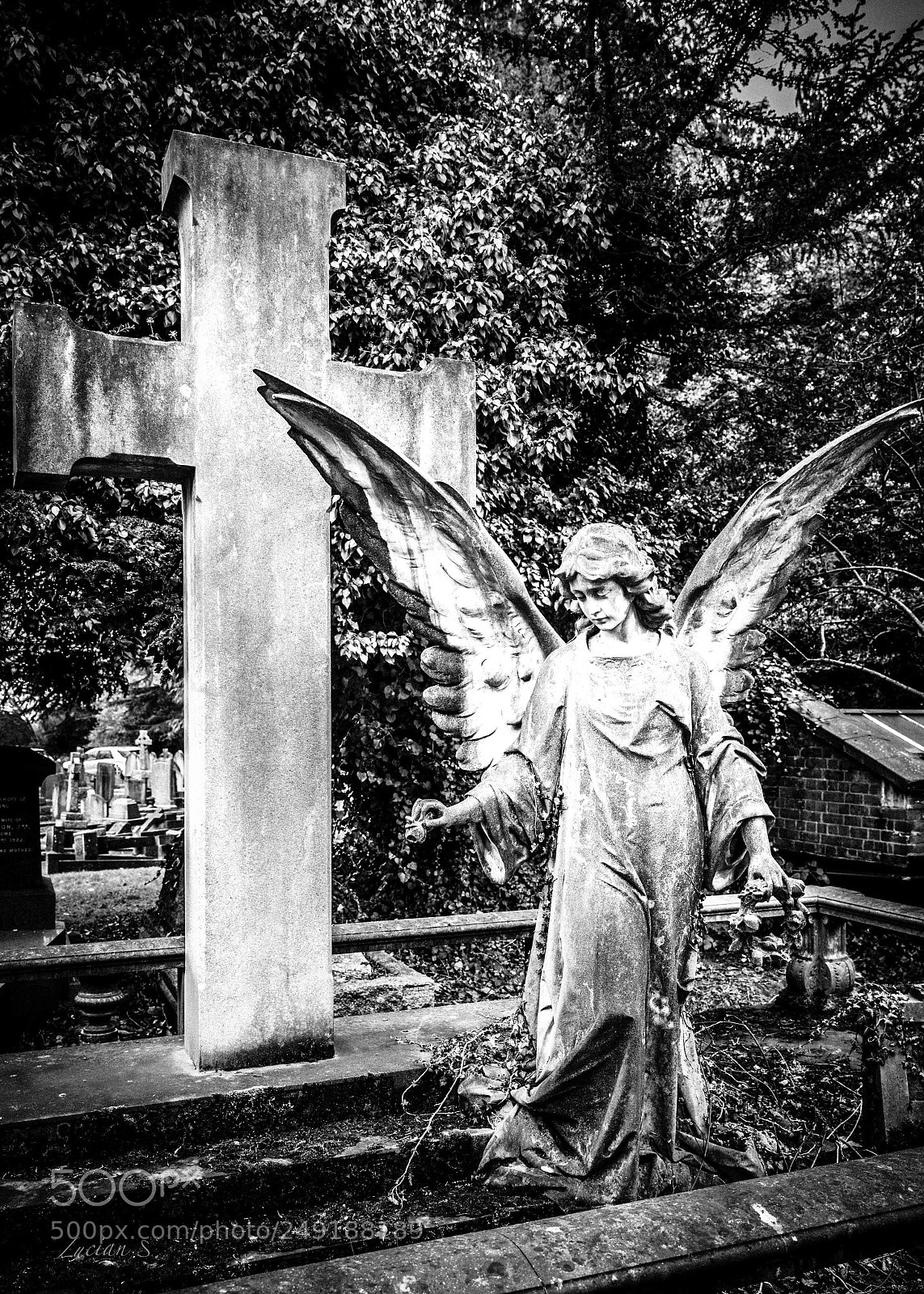 Canon EOS 5D Mark IV sample photo. Angel! photography