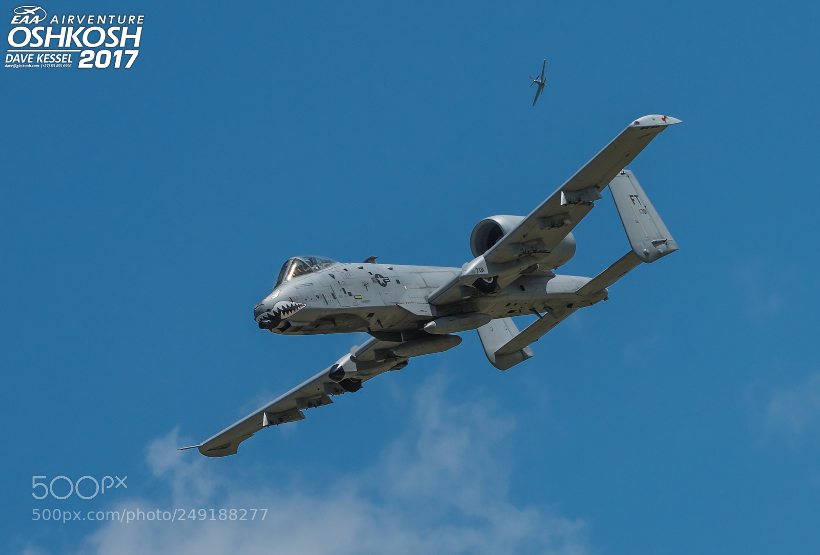 Nikon D810 sample photo. Warthog photography