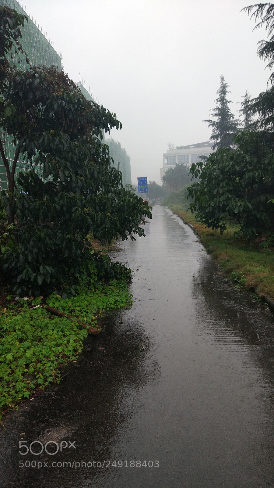 Xiaomi MI 5 sample photo. 下雨了 photography