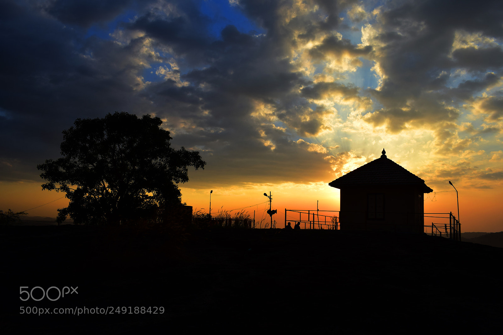Nikon D5300 sample photo. Golden hour photography