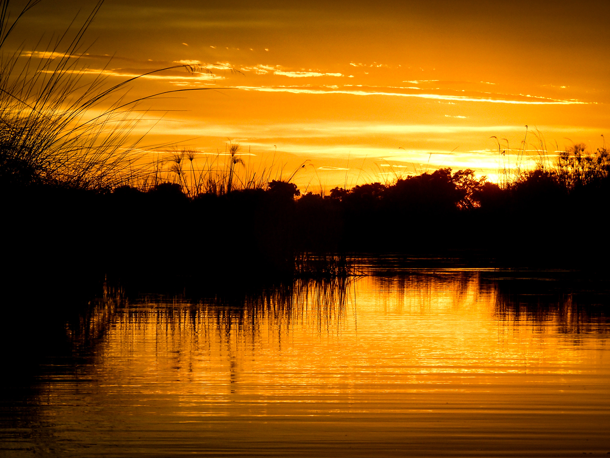 Olympus TG-3 sample photo. Okavango delta photography