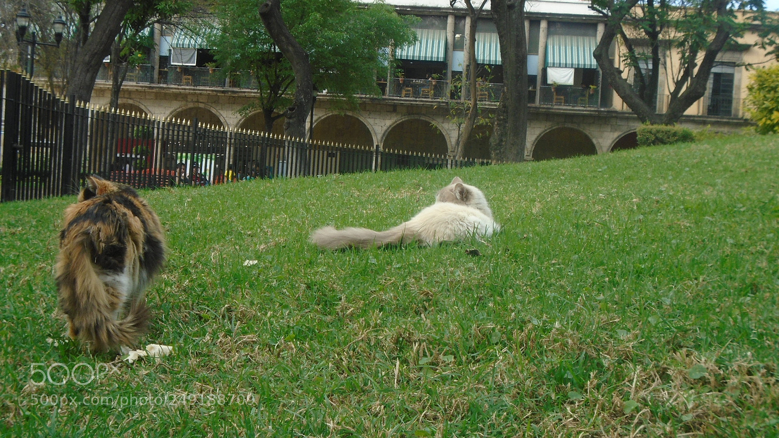 Sony Cyber-shot DSC-W800 sample photo. ^-^ photography