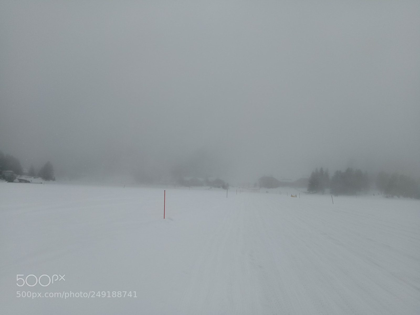 OPPO A1601 sample photo. In the fog photography
