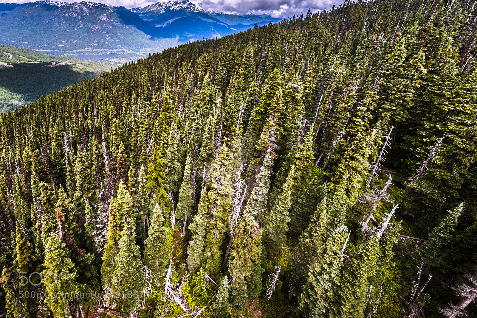 Nikon D800 sample photo. Canada 13 photography