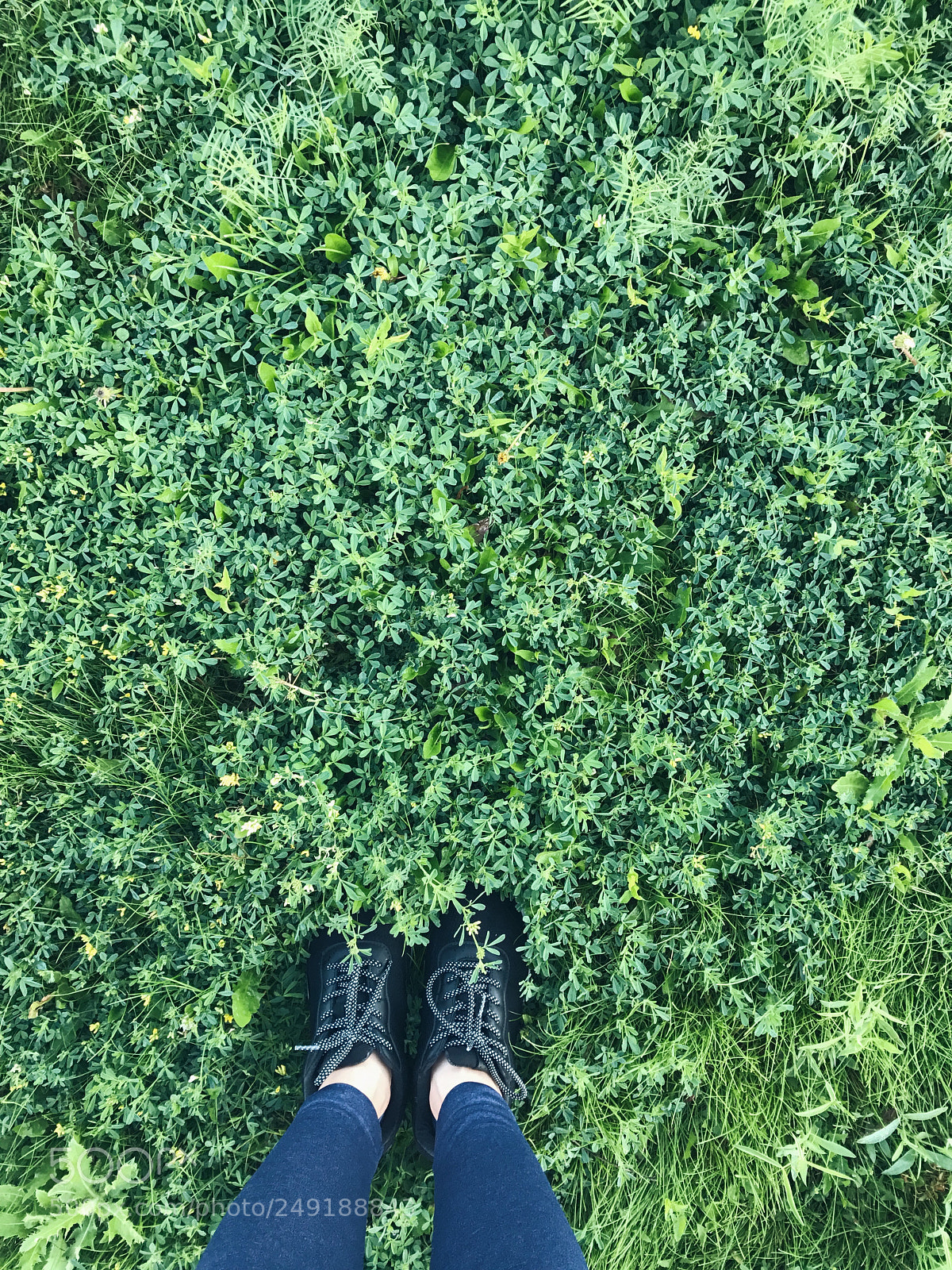 Apple iPhone 7 sample photo. Processed with vsco with photography