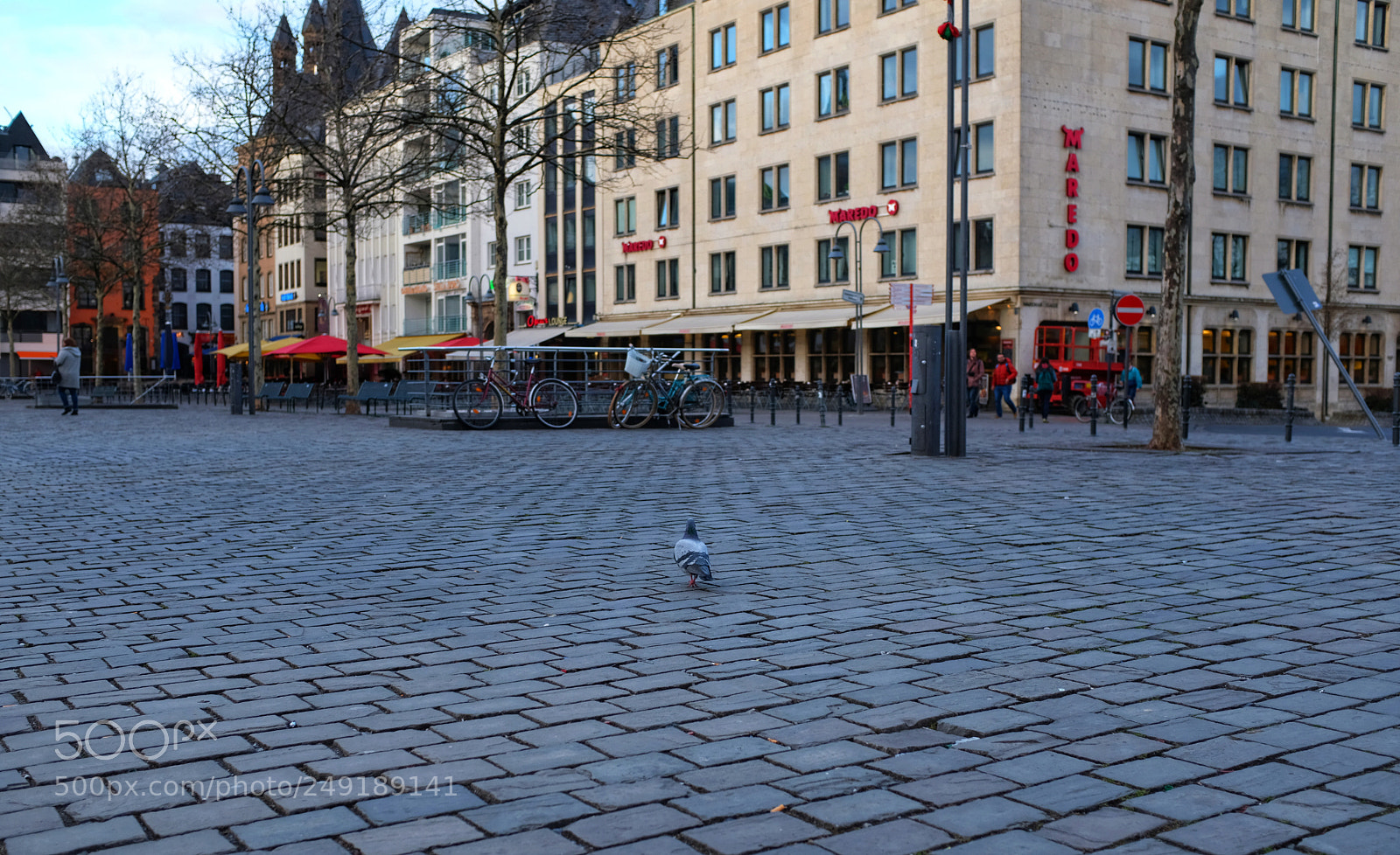 Fujifilm X100F sample photo. Pigeon photography