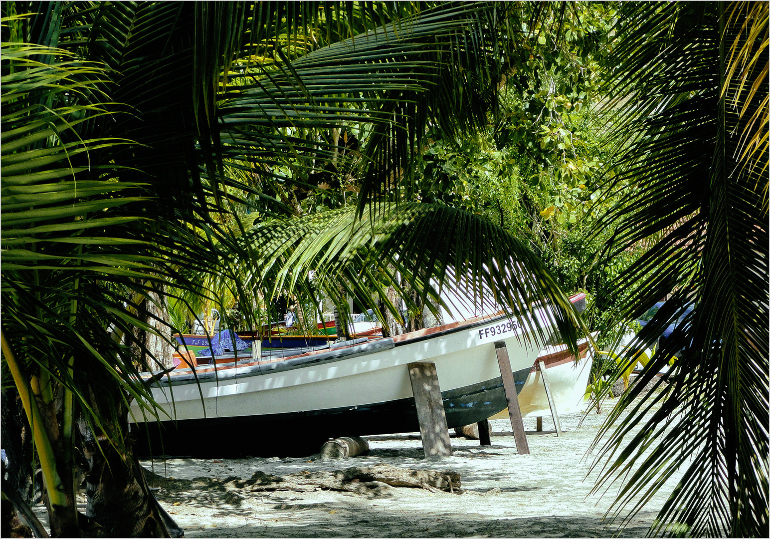 Sony Cyber-shot DSC-H55 sample photo. Martinique anse à l'âne photography