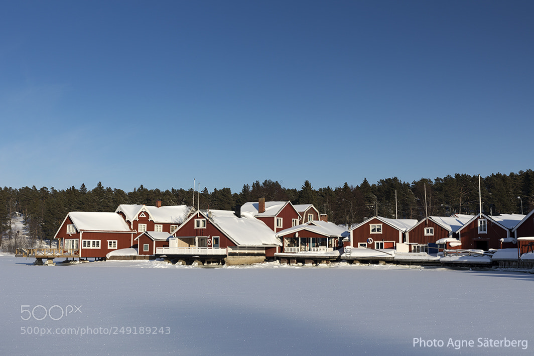 Canon EOS 5D Mark IV sample photo. Frozen at the small photography