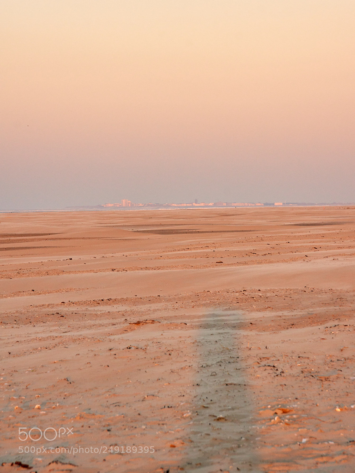 Sony SLT-A65 (SLT-A65V) sample photo. Sunset in the back photography
