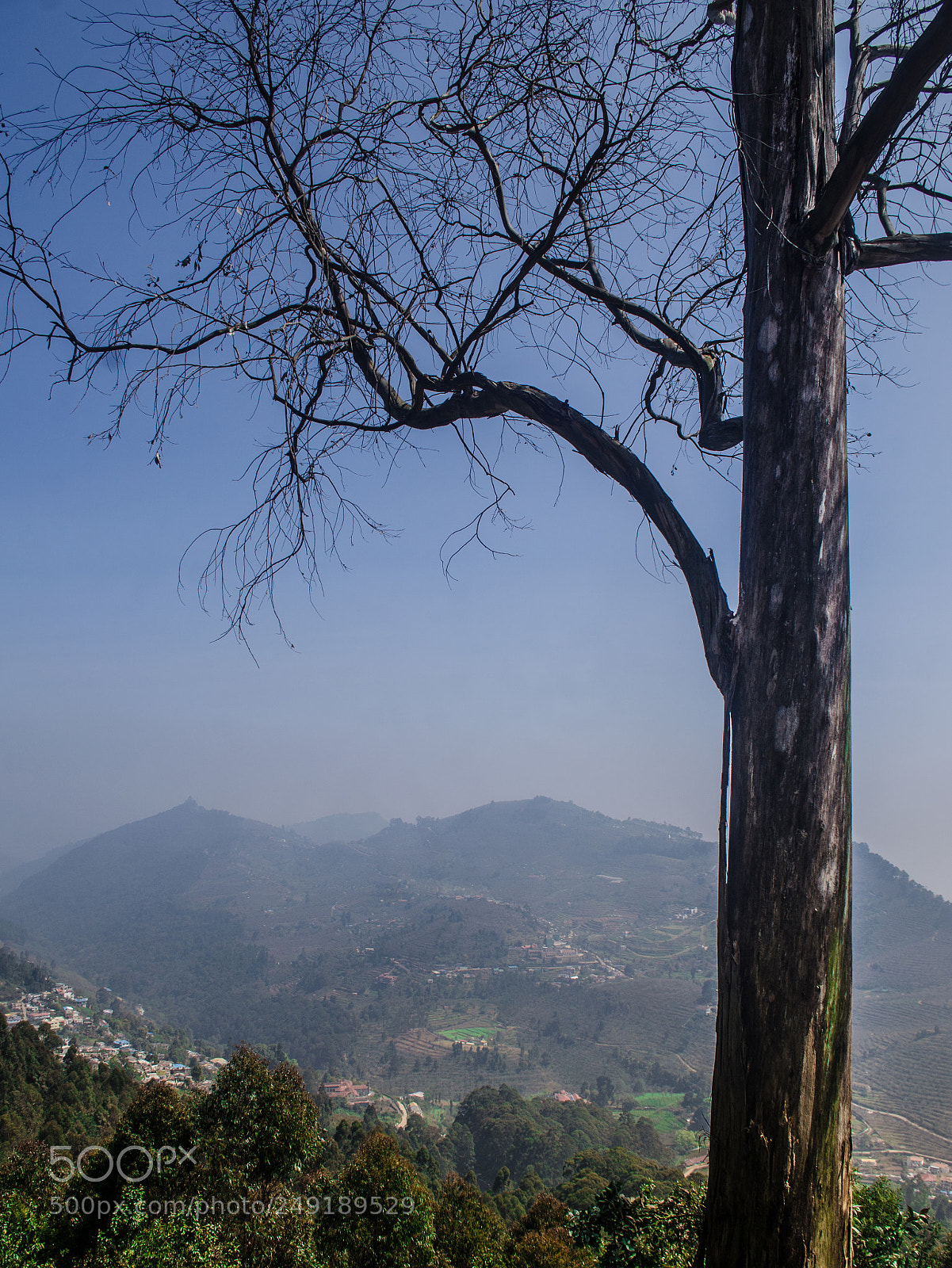 Nikon D5100 sample photo. Standalone photography