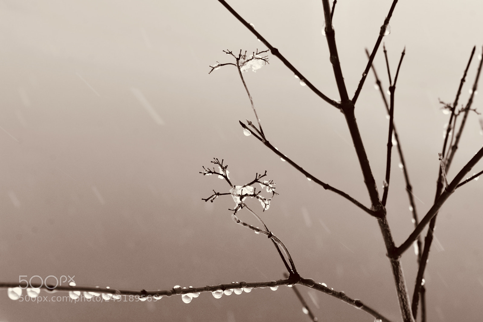 Nikon D3400 sample photo. Snowfall photography