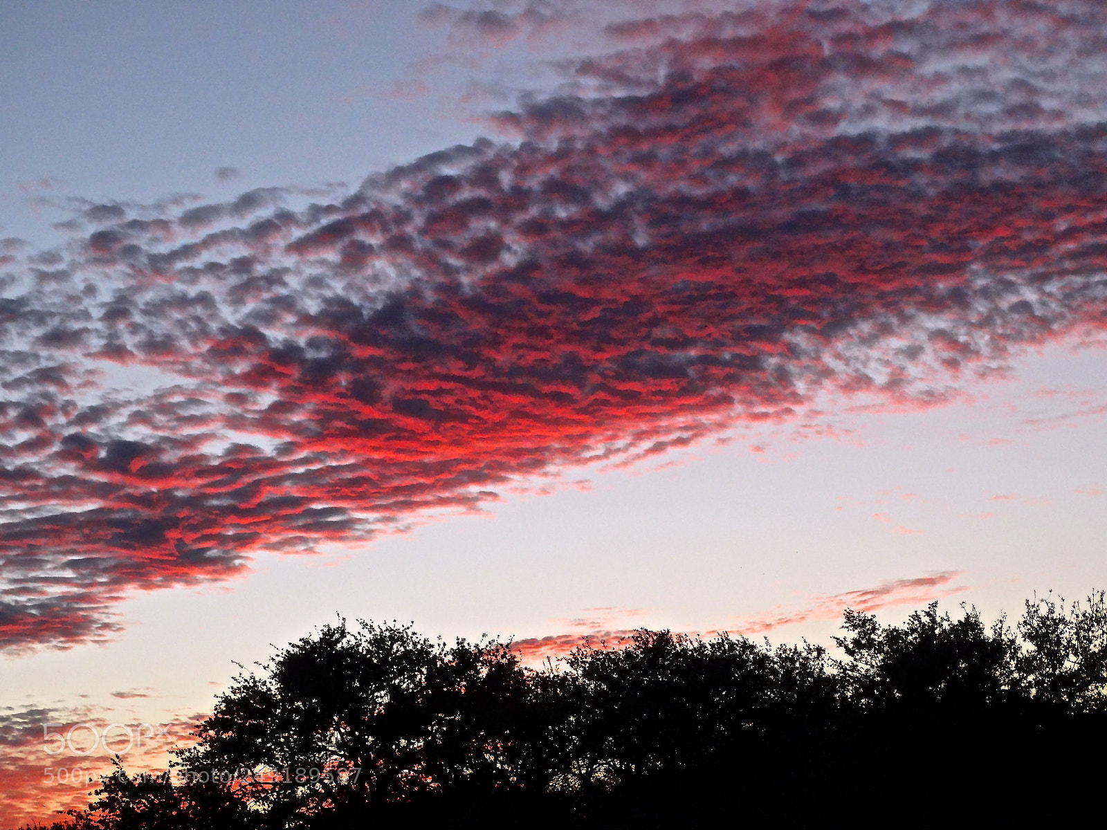 Sony Cyber-shot DSC-HX300 sample photo. Pink streak photography