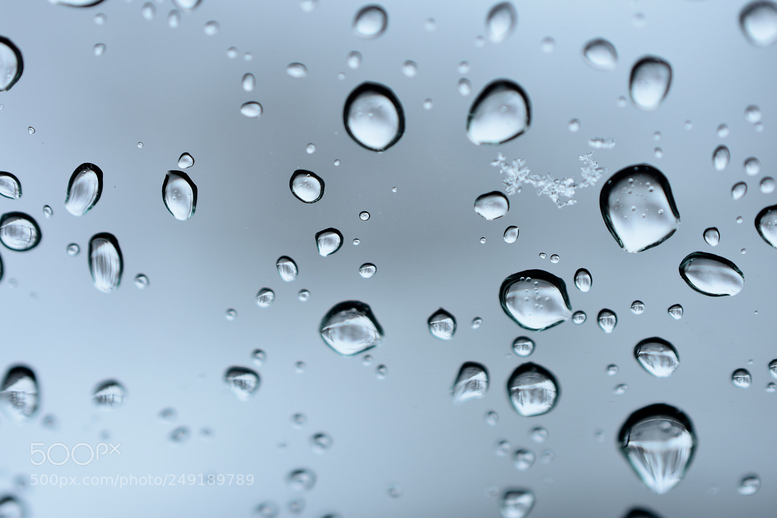 Nikon D3400 sample photo. Melted snowflakes photography