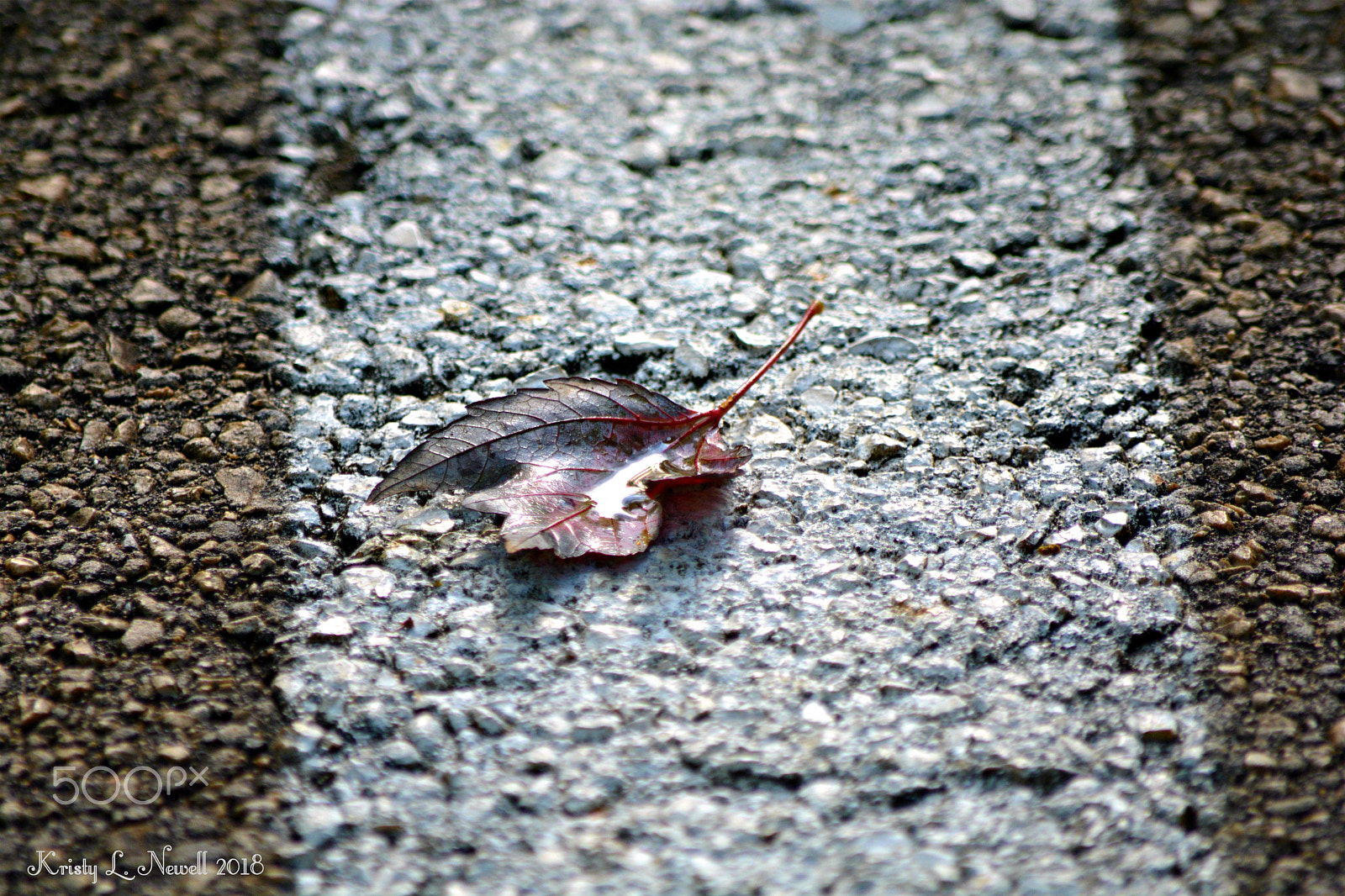 Nikon D5200 sample photo. Middle of the road. photography