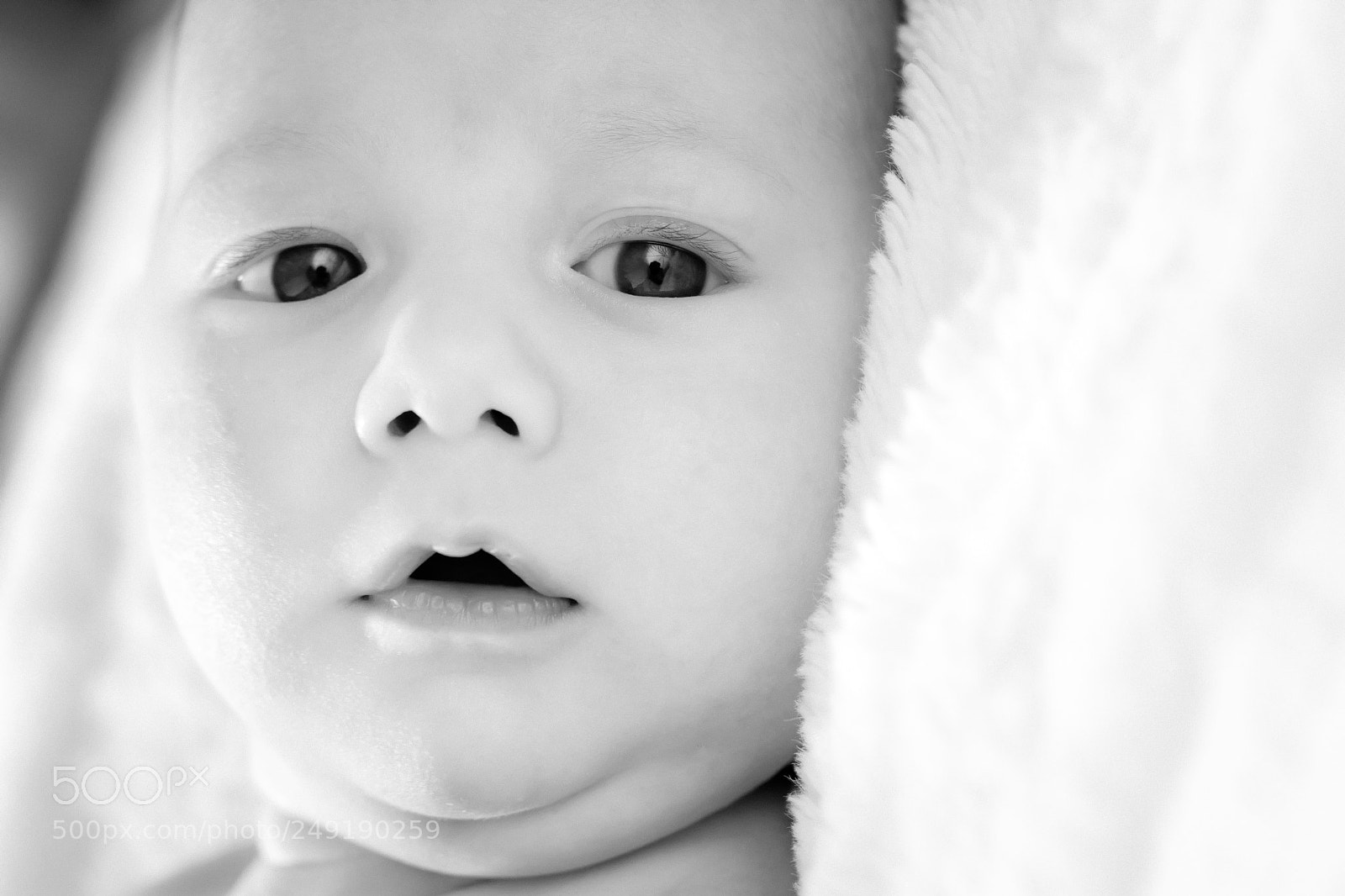 Nikon D5200 sample photo. Untitled photography