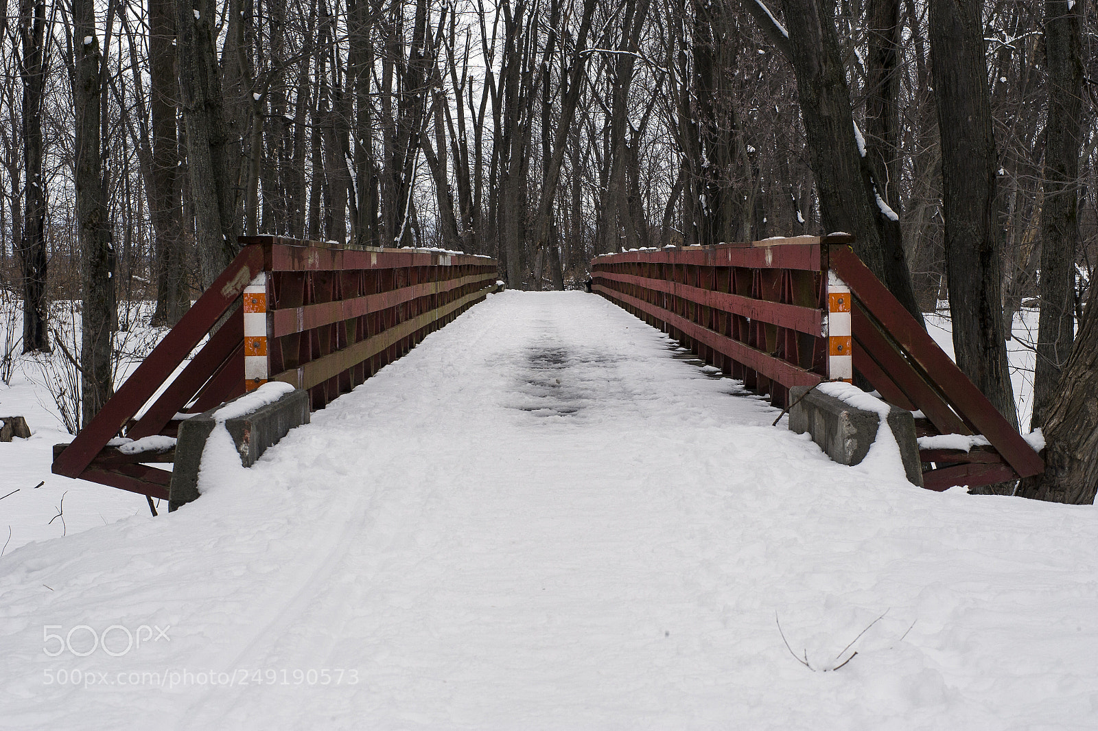 Nikon D3S sample photo. Bridge photography