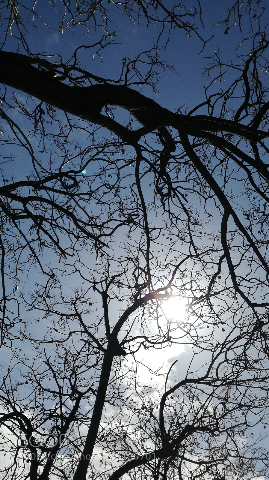 HUAWEI P9 LITE sample photo. Watching to the sun photography