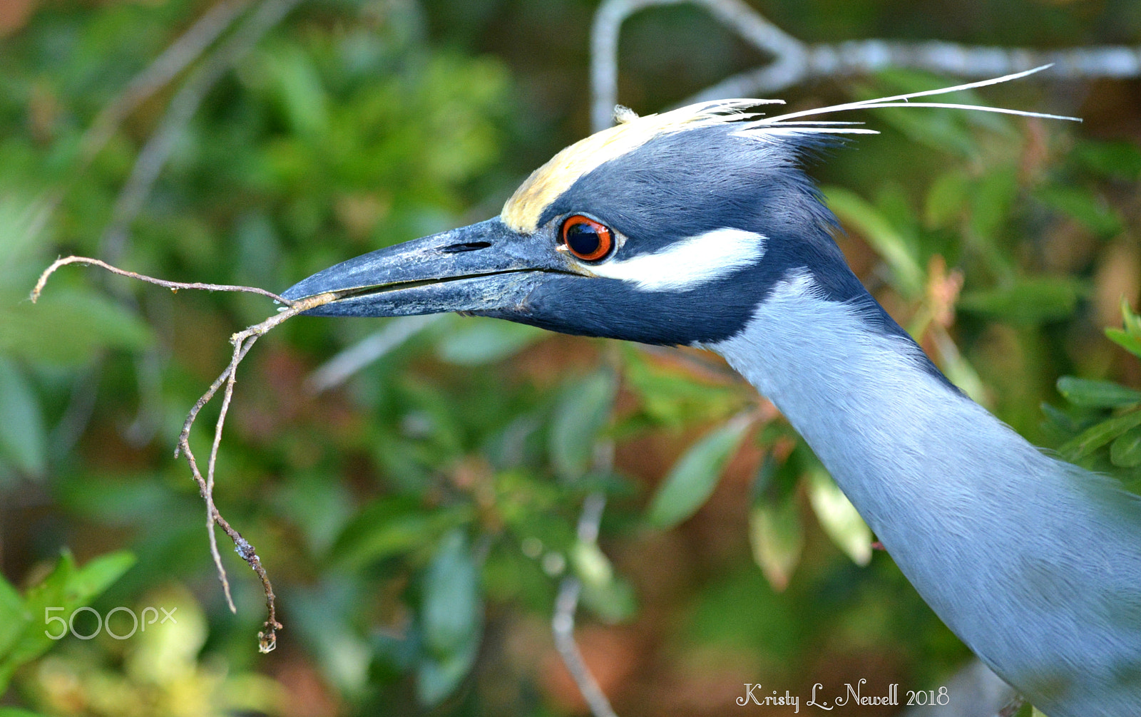 Nikon D5200 sample photo. Perfect stick. photography