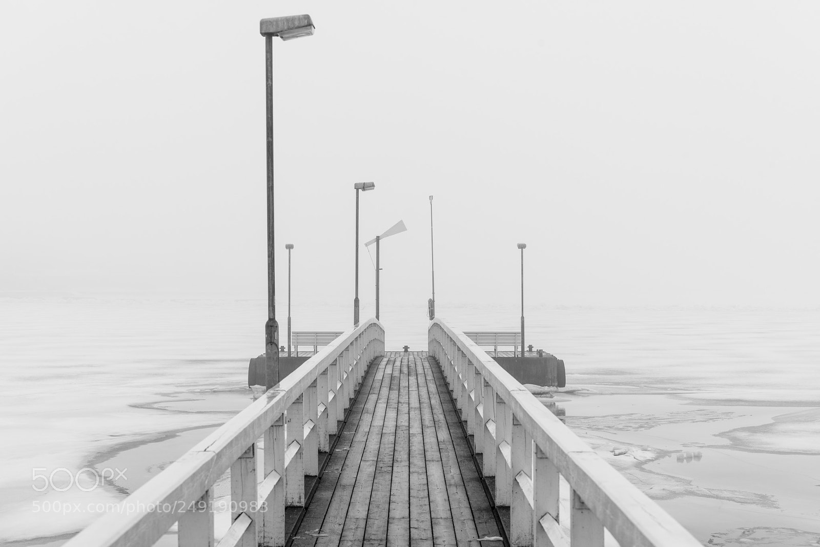 Nikon D800E sample photo. Out in the cold photography