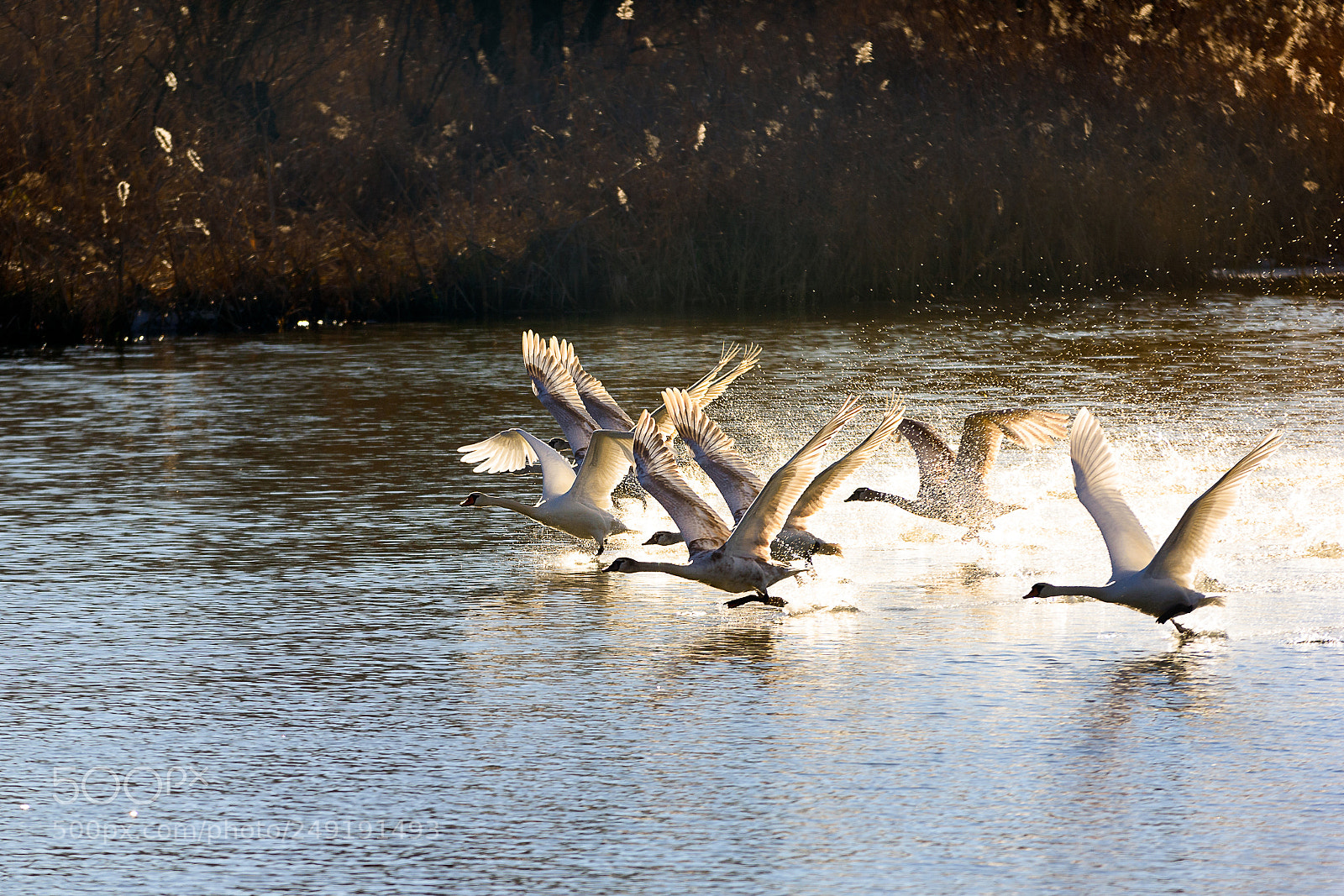 Nikon D7100 sample photo. Land off photography