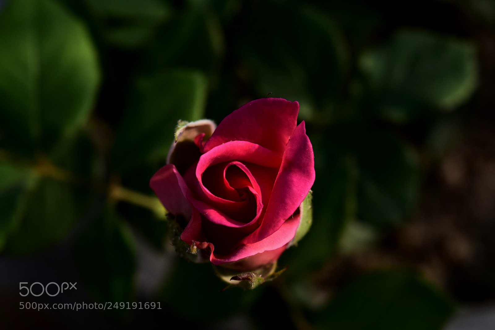 Nikon D3300 sample photo. Spiralling into you photography