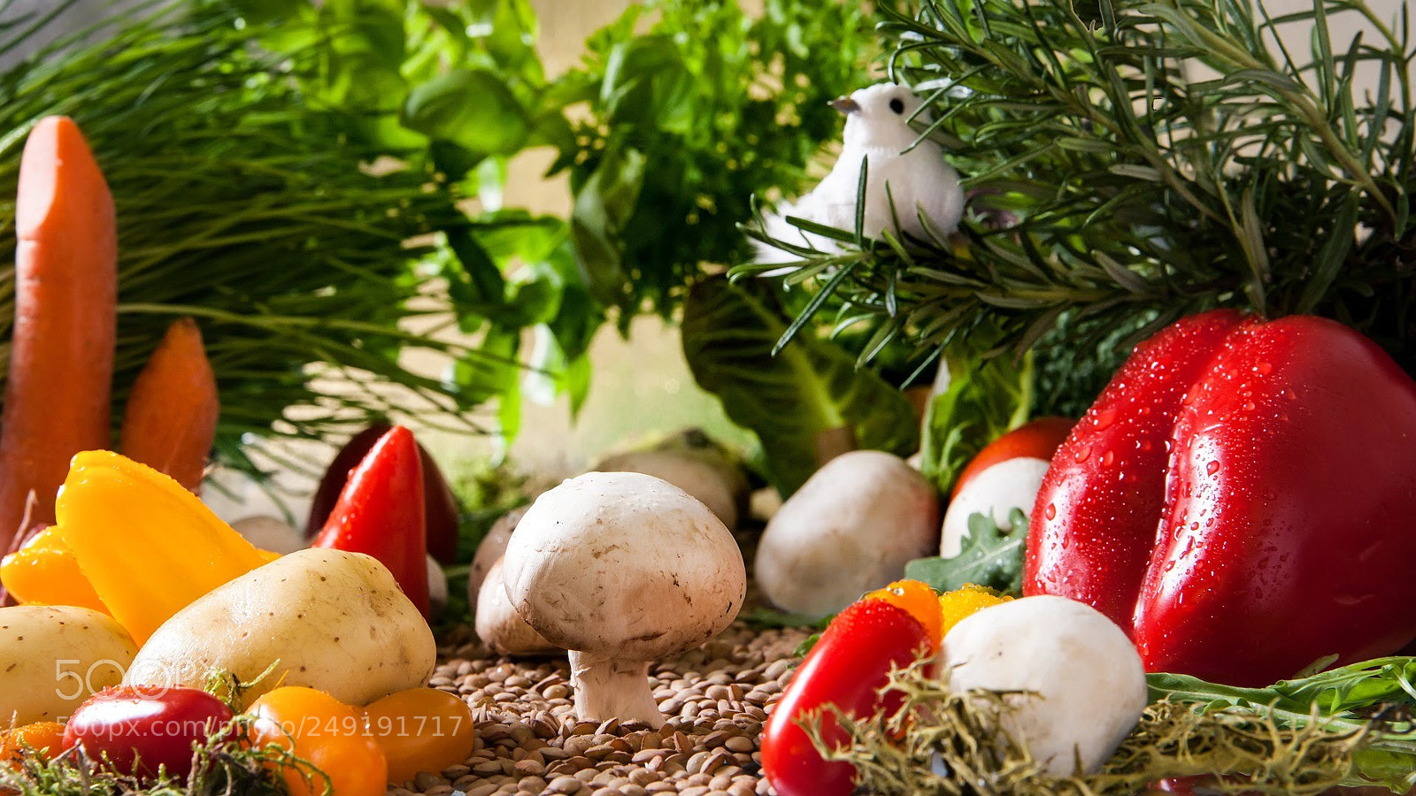 Canon EOS-1Ds Mark II sample photo. Vegetables landscape photography