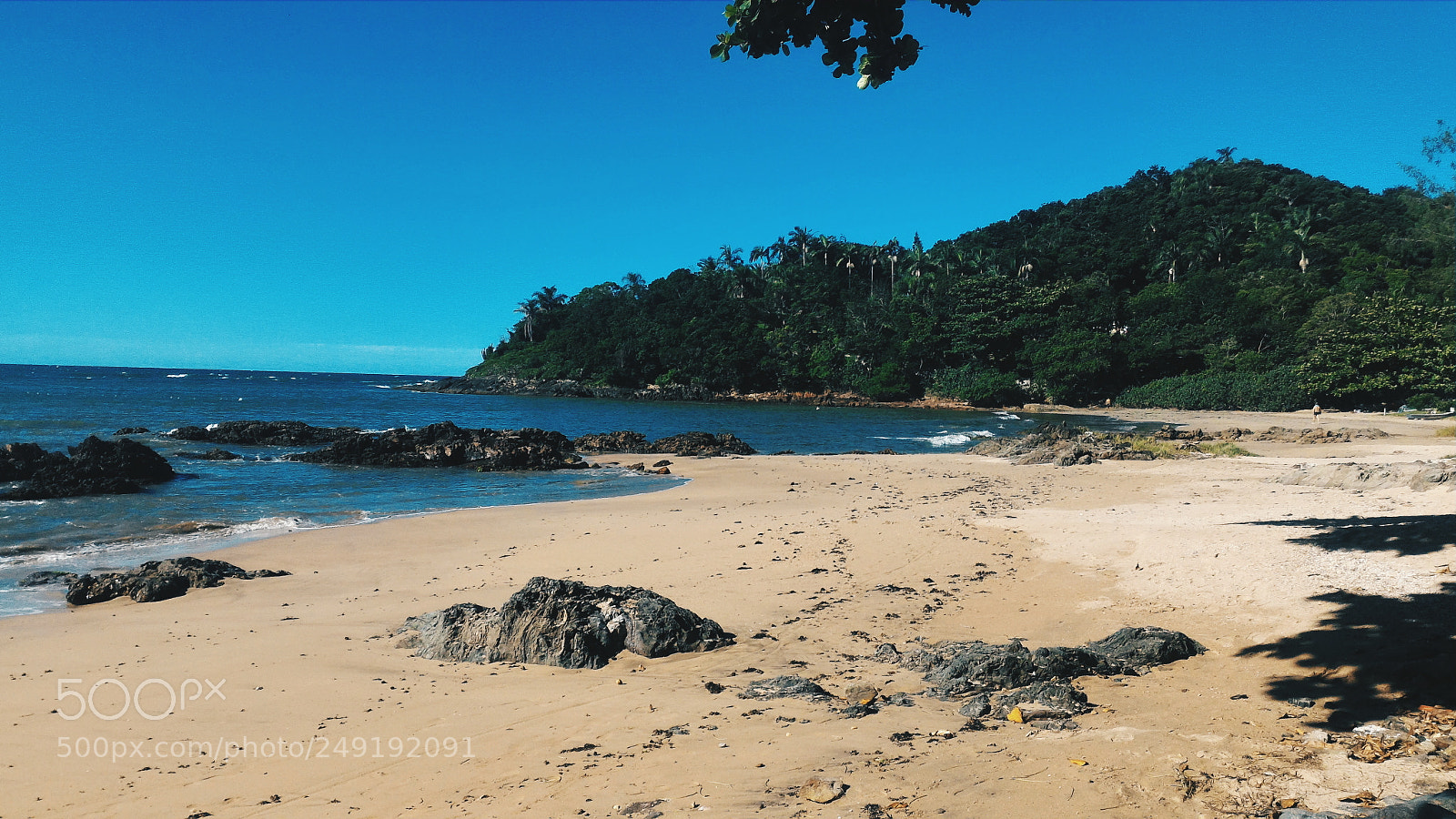 ASUS ZenFone 2 (ZE551ML) sample photo. 017 photography