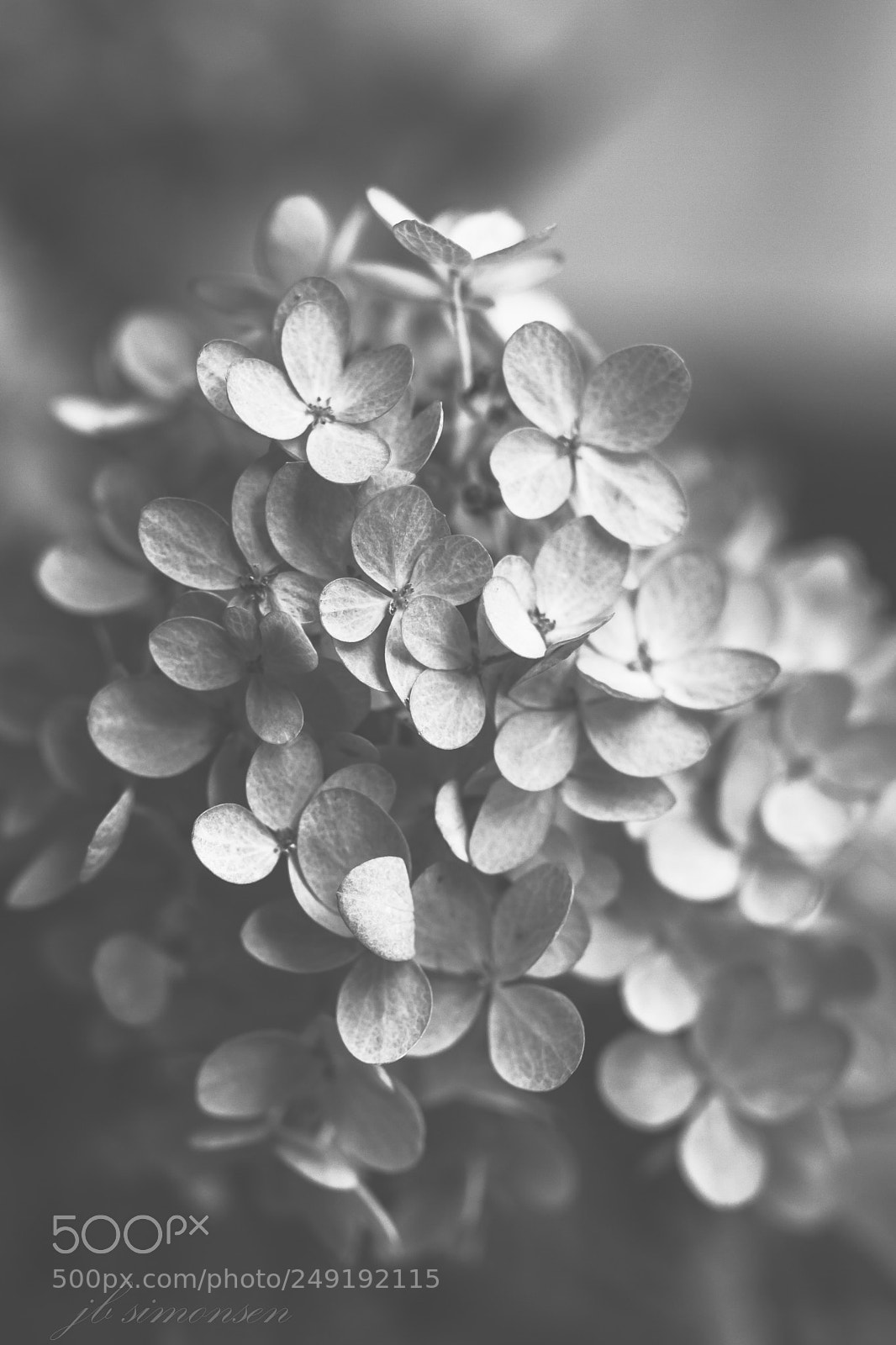 Canon EOS 7D sample photo. Hint of light photography