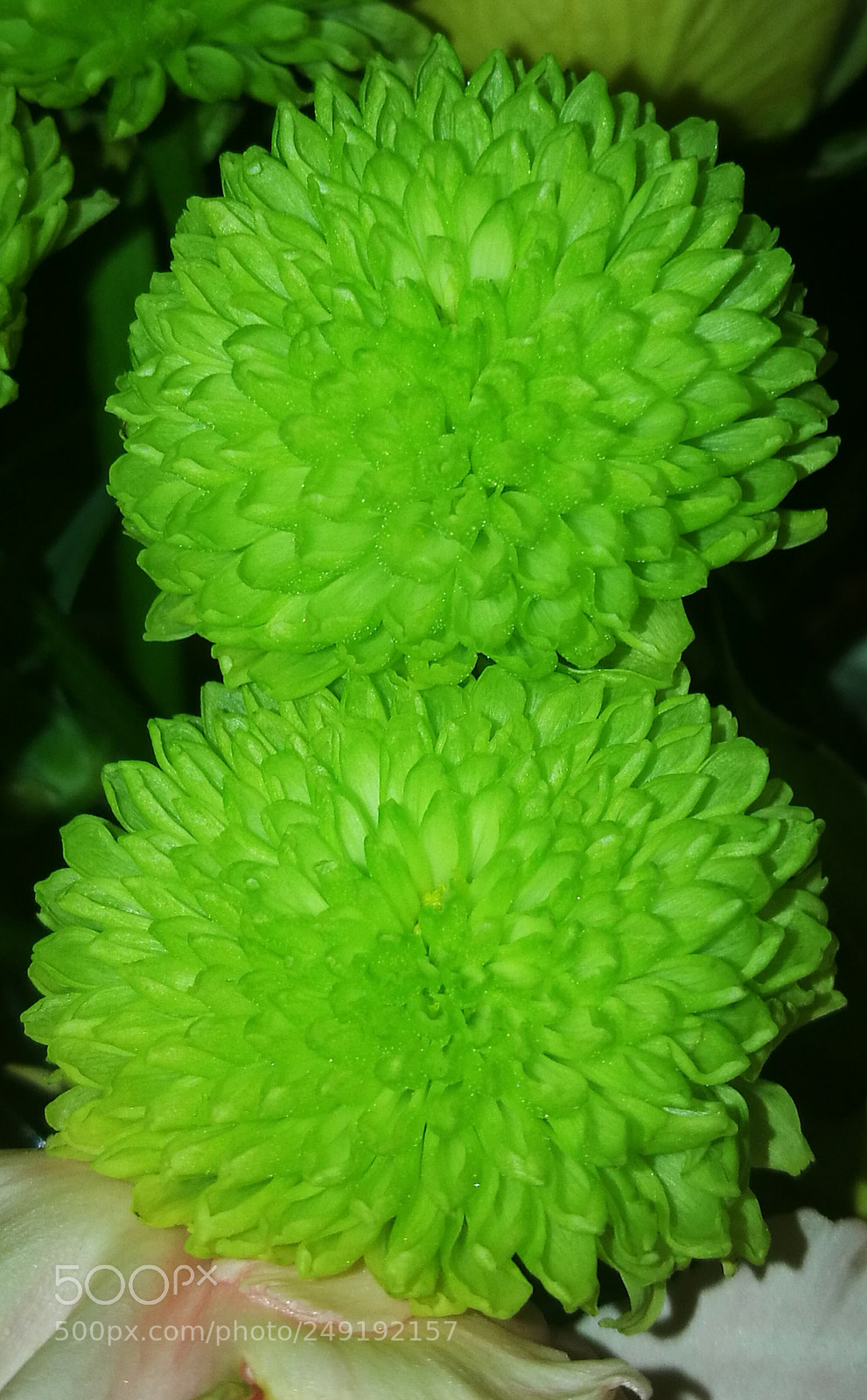 HUAWEI P9 sample photo. Frueh 8 photography