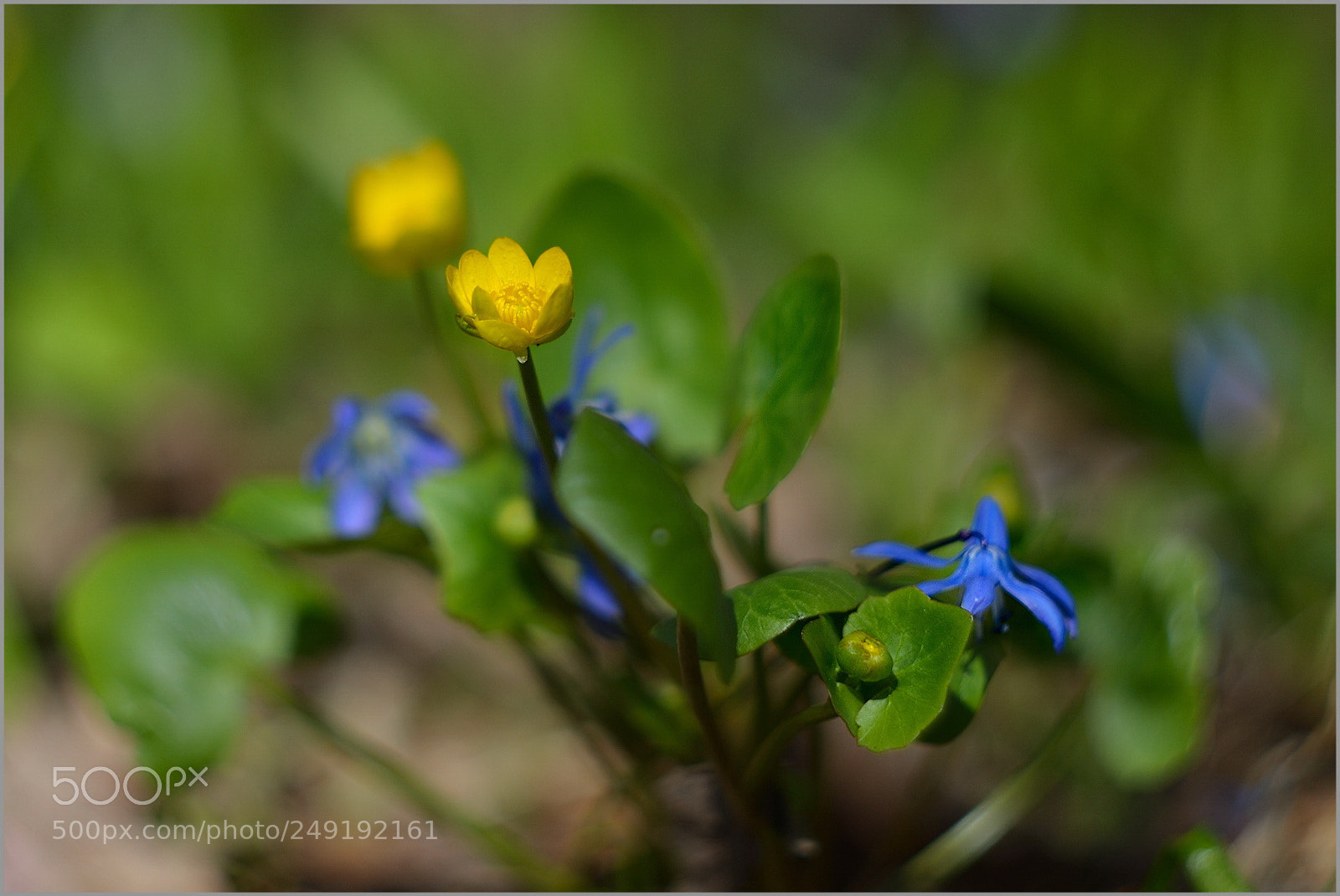 Nikon D600 sample photo. Untitled photography