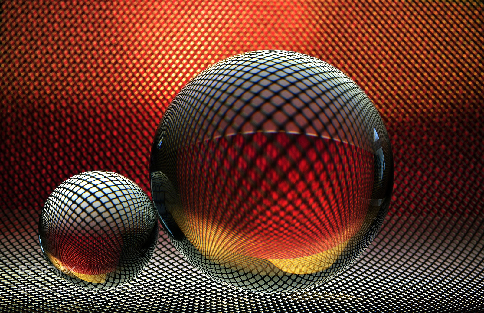 Nikon D600 sample photo. Pattern photography