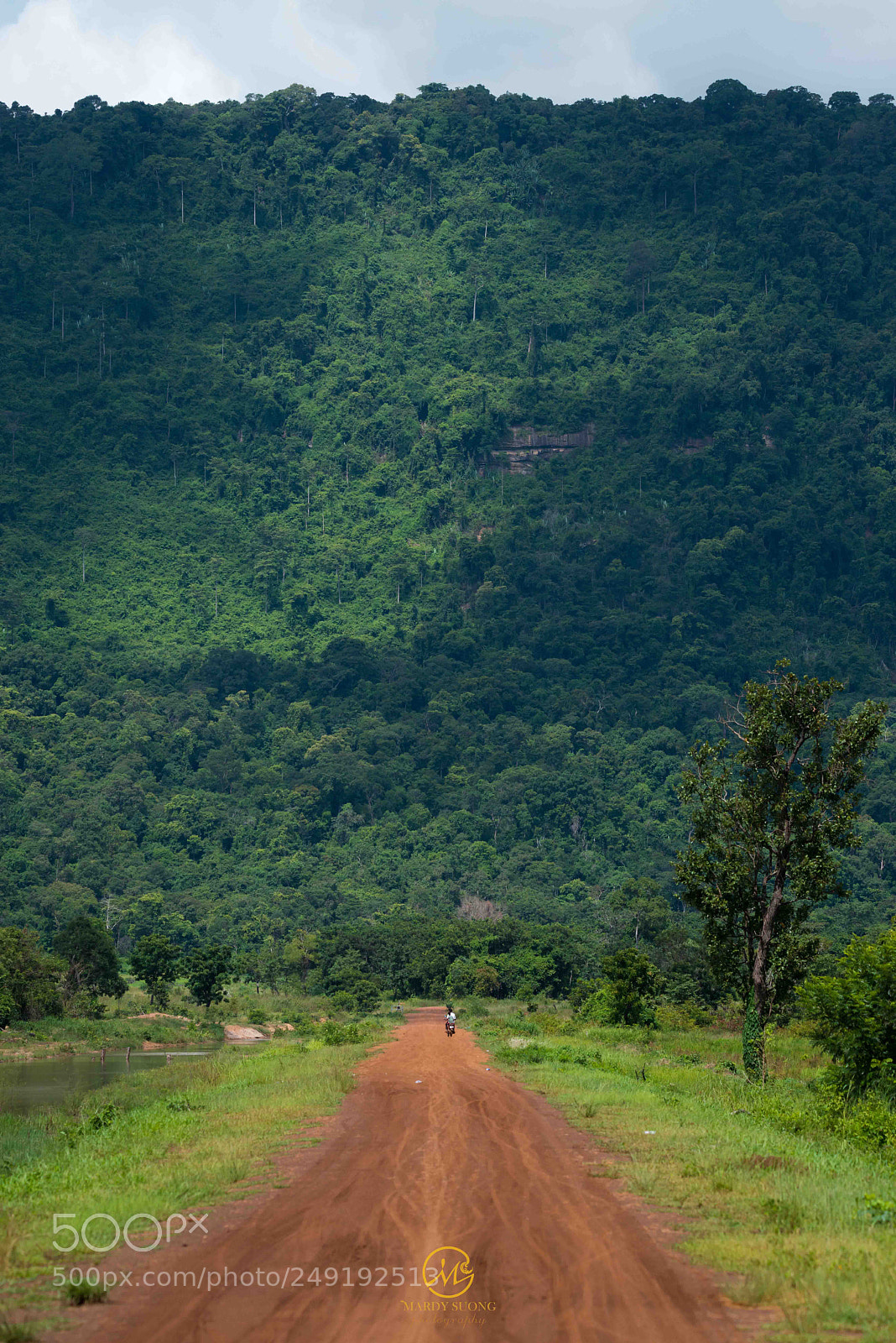 Nikon D800 sample photo. The way to an photography