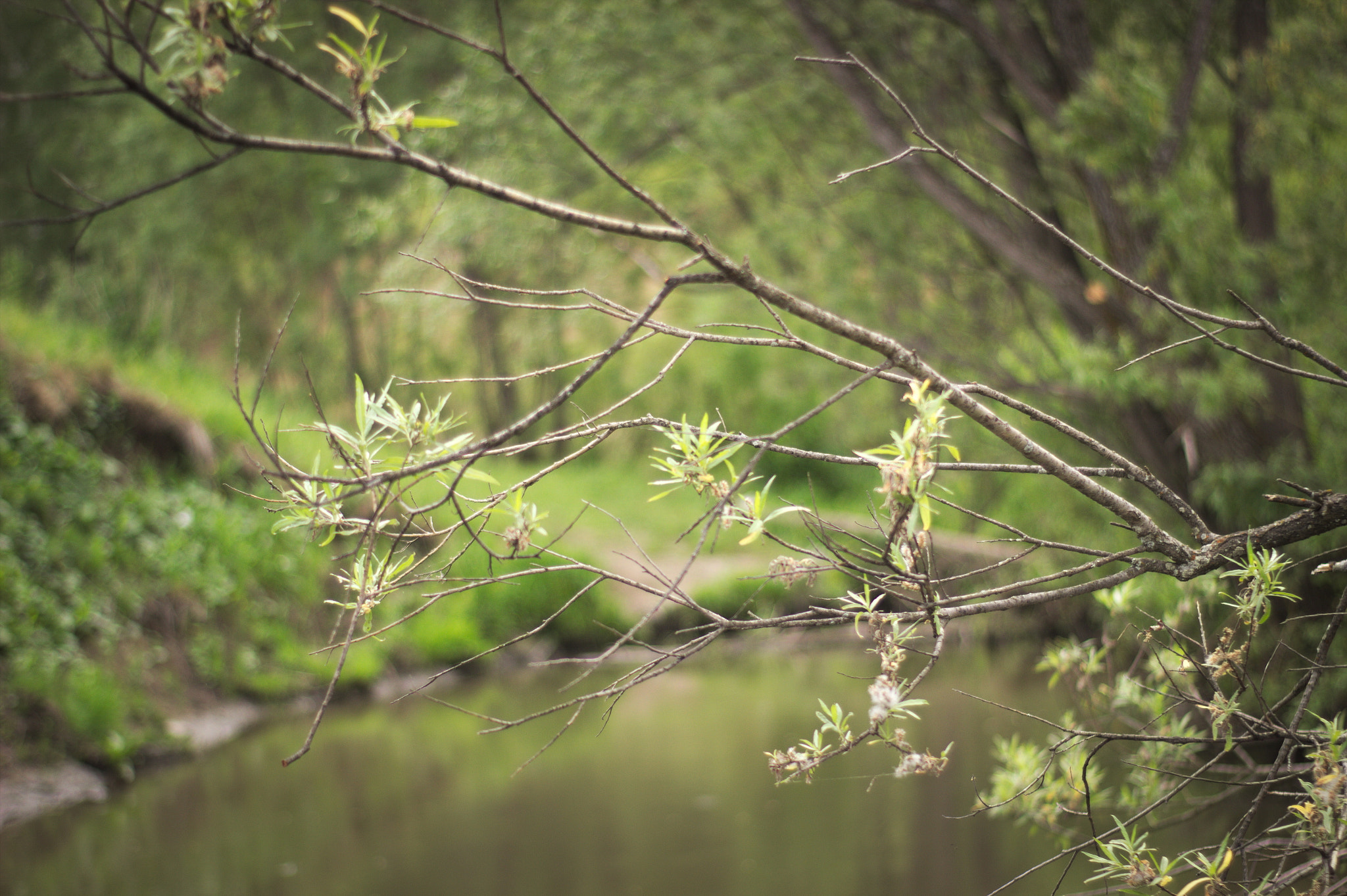 Canon 50mm sample photo. Img photography